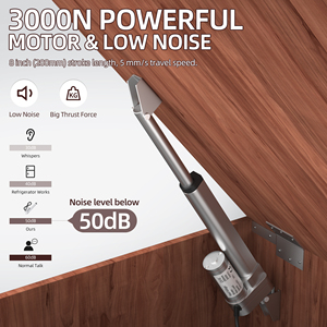 มอเตอร์ไฟฟ้าแบบเส้นตรงกันน้ำขนาด 8 นิ้ว รุ่น Bulk 3000n ระยะชัก 8 นิ้ว 12 โวลต์ ได้รับการรับรองมาตรฐาน Rohs และ CE สำหรับระบบอัตโนมัติในรถบ้านและบ้าน - Product Image 5