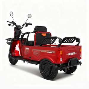 Triciclo Eléctrico <span class=keywords><strong>de</strong></span> Carga <span class=keywords><strong>de</strong></span> 600W-1000W <span class=keywords><strong>para</strong></span> <span class=keywords><strong>Adultos</strong></span>, Triciclo Eléctrico <span class=keywords><strong>de</strong></span> 3 Ruedas, Vehículo <span class=keywords><strong>de</strong></span> Carrocería Abierta - Product Image 1