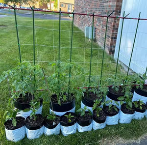 Grado personalizado negro HDPE polietileno Poly plántulas plantas de jardín vivero crecer bolsas de plástico resistente a los rayos UV para plantas y plántulas - Product Image 2