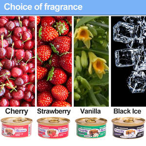 น้ำหอมปรับอากาศรถยนต์แบบกำหนดเอง OEM น้ำหอมปรับอากาศรถยนต์ น้ำหอมดับกลิ่นรถยนต์ - Product Image 5