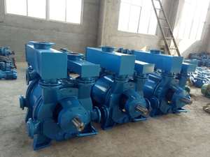 2BE Wholesale High Quality Horizontal Energy Saving Electric Driven <strong>Water</strong> Liquid Ring Vacuum <strong>Pump</strong> of Chlorine <strong>Gas</strong> Processing - Product Image 6
