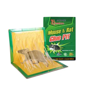 Yeşil kalın karton süper tutkal fare tuzağı sürdürülebilir toksik olmayan sıçan Catcher katlanabilir fareler katil