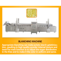 Línea de Producción de Papas Fritas Industriales de Acero Inoxidable 304 Totalmente Automática TCA, Precio de Fábrica, Certificación CE, 500 kg/h, Ahorro de Energía
