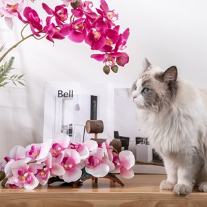 ดอกกล้วยไม้ฟาแลนนอปซิสประดิษฐ์สีขาวนมชมพูอ่อน ของ CallaFloral สำหรับตกแต่งภายในบ้าน งานแต่งงาน และจัดดอกไม้ - Product Image 1