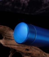 Organisateur de voyage médical professionnel pour diabétiques, glacière de voyage approuvée par la TSA avec brique de glace, bouteille isotherme pour stylo à insuline médicale