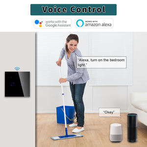Bingoelec Smart <span class=keywords><strong>Home</strong></span> <span class=keywords><strong>Control</strong></span> remoto eléctrico 600W Interruptor táctil Alexa <span class=keywords><strong>Control</strong></span> de voz Inalámbrico Wifi Interruptor táctil - Product Image 3