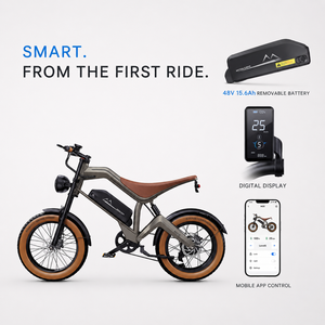 Potente Bicicleta Eléctrica M20 de 750W con Neumáticos Anchos, 48V 15.6Ah, Bicicleta de Montaña Todoterreno, Envío Rápido desde EE. UU. y la UE, <span class=keywords><strong>E</strong></span>-bike <span class=keywords><strong>PRO</strong></span> - Product Image 3