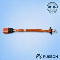 Kabel Tegangan Tinggi XLPE Terperisai Fleksibel Tinggi 600V IP67 untuk Koneksi Inverter Motor EV OEM Kustom