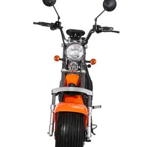 EEC COC Approved New Design Panama 1000W Electric Scooter Electric Motorcycle 200cc 60V Racing Motorcycles Brushless 40 - 60km/h