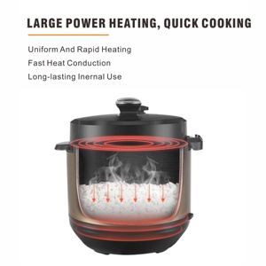 Olla a Presión Eléctrica Ewant de 6L y 1000W, de Acero Inoxidable, Multiusos 13 en 1, Control Digital Automático, para Uso Doméstico - Product Image 6