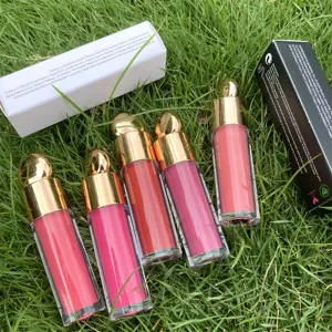 Personnaliser étiquette privée 21 couleurs rouge à lèvres liquide mat rouge à lèvres de maquillage pour Dames