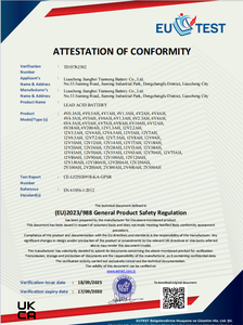 Yüksek performanslı ve uzun ömürlü silindirik lityum-iyon pil paketi TYN derin döngüsü - Product Image 4