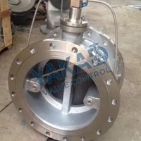 Vanne papillon en acier inoxydable pour applications marines offshore 316L/304/CF8M/Duplex 2205 4"/6"/8"/10" Classe 300 à brides