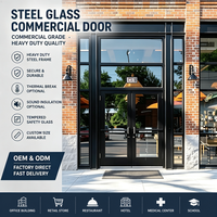 Porte double en acier et verre robuste de qualité commerciale avec panneaux latéraux et transom pour bâtiments modernes