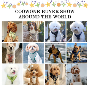 Arnés Ajustable Acolchado de Neopreno para Perro con Correa, Soporte para Bolsas de Excrementos y Pañuelo, Conjunto de Arnés para Perro Tipo Step-in, Fabricación OEM ODM - Product Image 4