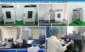 OEM مستخلصات نباتية من مسحوق الكوسا مستخرج بالجملة من مسحوق القرع بيبو مع عينة مجانية - Product Image 5