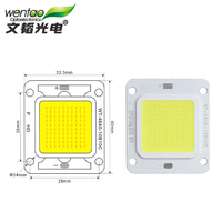 Precio al por mayor: Fuente de luz LED COB 4640 de 50W 30V para inundación y jardín, eficiente, con chips Epistar y Sanan