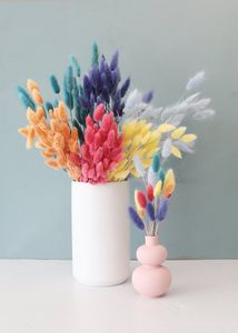 2025yearsNatural Factory Price Various Colors Decorative <strong>Flowers</strong> Natural Large Tall Big <strong>Mini</strong> Small Pampas <strong>Dried</strong> Flowbest Quality - Product Image 3