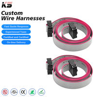 Kabel IDC Kustom 2.54 MM Kabel Pita Datar IDC 10PIN Tembaga Murni Kabel Harness Kustom