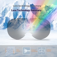 Lunettes de ski en gros à double lentille anti-buée, lunettes de neige cylindriques, vente directe d'usine, logo personnalisé OEM, approvisionnement en gros