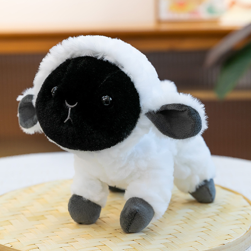 Little lamb