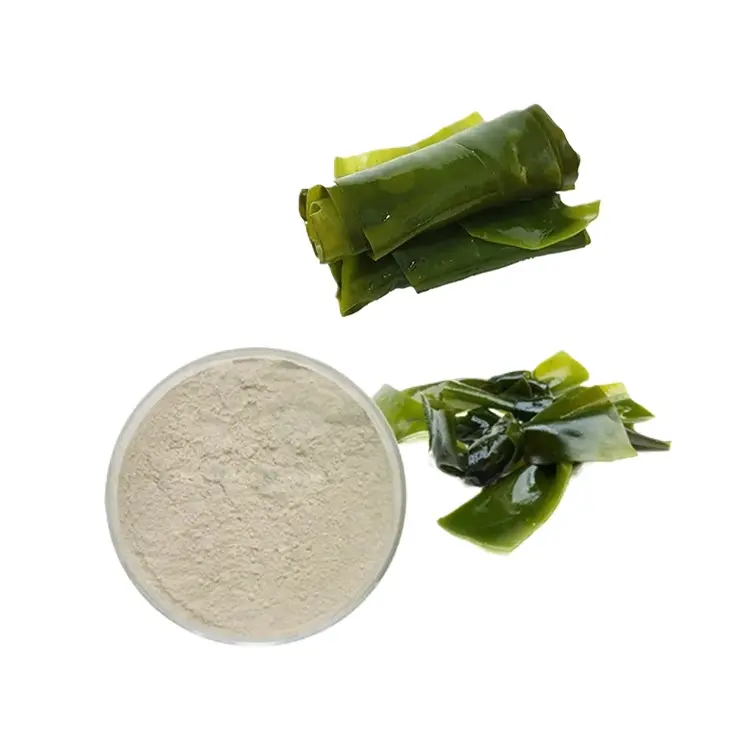 Wholesale Supply Kelp Extract Fucoidan Powder