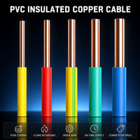 Cable Eléctrico Sólido THHN THWN-2 de 12 AWG, 14 AWG, 10 AWG, 300/500V, Cable para Construcción con Revestimiento de PVC para Construcción en Filipinas