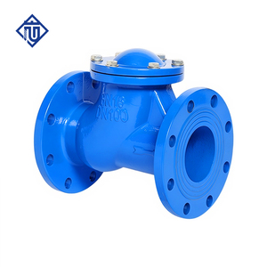 Vanne à <span class=keywords><strong>clapet</strong></span> en fonte ductile GGG50, vanne <span class=keywords><strong>anti</strong></span>-<span class=keywords><strong>retour</strong></span> pour l'eau - Product Image 2