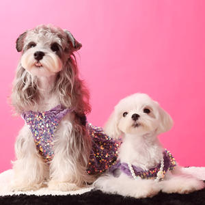 Vestido de Saia de Veludo de Outono Estilo Princesa para Cães com Lantejoulas em Poliéster - Product Image 1