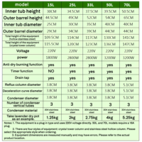 Distillateur d'huiles essentielles et d'hydrolats 2 en 1 en acier inoxydable pour la production d'aromathérapie maison DIY