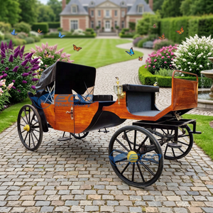 Carruaje Eléctrico para Paseos Turísticos, Vehículo con Caballos, Carruaje Victoria, Carruaje Real Eléctrico para Exteriores - Product Image 1