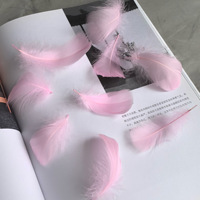 Plume d'oie de couleur macaron |   Petites/Moyennes Plumes Flottantes pour Décoration de Mariage et d'Événements, Scène et Remplissage de Boîtes Cadeaux Yiwu