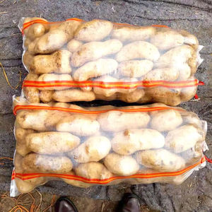 Yüksek dayanıklılık fabrika toptan özel polipropilen çanta tarım tahıl 25kg 50kg şeffaf plastik çantalar - Product Image 5