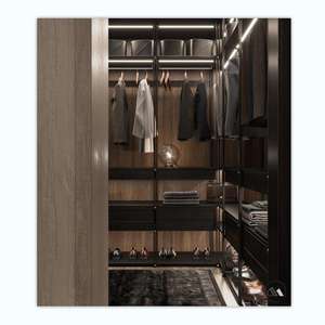 Solid Modern Minimalism Customized Aluminum Frame Open Style Partial <b>Wardrobe</b> With Glass for Bedroom Furniture Affordable Luxury - Product Image 5