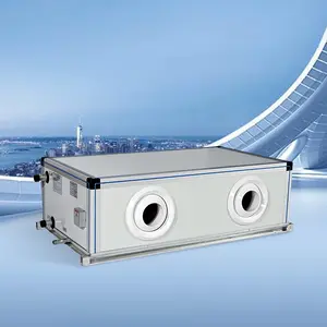 Ceiling wall mounted Air Handling Unit air handler For Central Air Conditioner