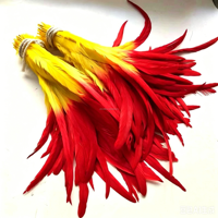 Plumes de queue de coq blanchies et teintes en deux tons en gros pour costumes de carnaval, décoration de fête et artisanat