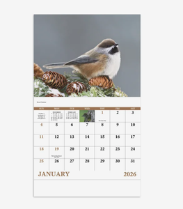 Calendriers personnalisés 2027 sur le thème des oiseaux d'Amérique du Nord, agrafés, avec logo personnalisé, cadeau promotionnel, vente en gros, qualité supérieure - Product Image 1