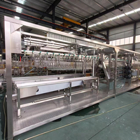 Ligne de production complète en acier pour abattoir de poulet mobile compact 300-500 BPH avec plumeuse