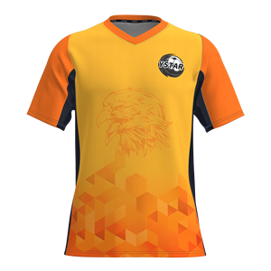 Camisetas de Fútbol Personalizables Lisas para Impresión, Pedidos al por Mayor, Camisetas Lisas para Personalización de Equipos Locales y Marcajización de Patrocinadores - Product Image 3