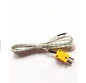 Probe Thermocouple Mineral Insulated Cable Simple Point Probe K Type Thermocouple With Plug