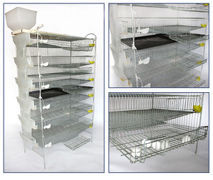 Usine chinoise fabriquant des plateaux <span class=keywords><strong>de</strong></span> collecte d'œufs automatiques pour cages à cailles, vente en gros - Product Image 2
