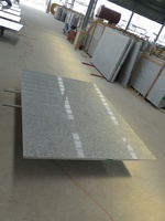 Azulejo de suelo de granito gris natural barato al por mayor 60x60 G602 baldosas de granito flameado
