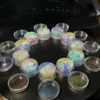 Les pigments phosphorescents brillent dans la peinture caméléon en poudre sombre grippe électroluminescente inorganique