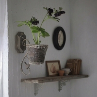 Jardinière murale vintage en fer vieilli, durable et écologique, panier à fleurs décoratif en métal à fixer au mur pour l'intérieur et l'extérieur de la maison