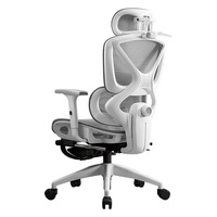 Chaise de bureau ergonomique moderne en maille avec soutien lombaire, pivotante à 360°, hauteur réglable, tissu respirant pour un confort prolongé lors des longues sessions assises