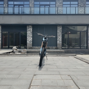 Starye 2026 Version Améliorée Light Bee X 10000W 80km/h 295N.m Vélo Électrique Tout-Terrain 72v 35ah <span class=keywords><strong>Moto</strong></span> Électrique LBX pour Adultes et Garçons - Product Image 3