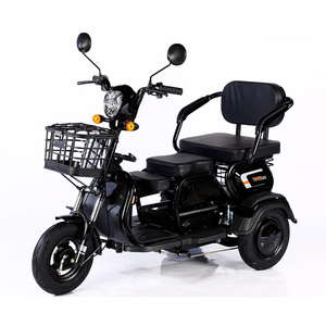 <span class=keywords><strong>2023</strong></span> vente en gros Ebike 3 roues <span class=keywords><strong>Cargo</strong></span> Tricycle 1000W 600W 48V 3 roues Tricycle électrique vélo pour adultes - Product Image 1