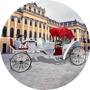 Chariot électrique sans chevaux pour visites touristiques, type Victoria, chariot électrique pour balades, chariot électrique à chevaux - Product Image 3