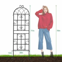 Arche de jardin en fer forgé d'extérieur avec motif d'oiseaux et treillis pour plantes grimpantes pour l'aménagement paysager de jardin (lot de 2)