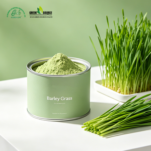 Fournisseur en gros de poudre d'herbe d'<span class=keywords><strong>orge</strong></span> biologique, superaliment vert, OEM, marque privée, export direct d'usine - Product Image 2